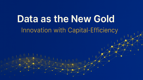 Data as the New Gold: Innovation with Capital-Efficiency