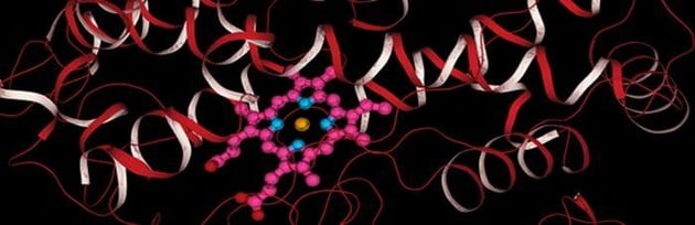 Cytochrome_C450