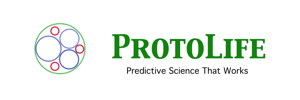 CompanyBannerGreen2