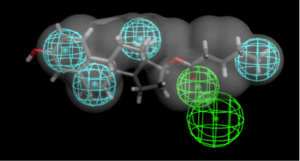Pharmacophore