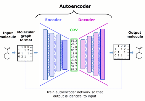 Figure 1. Schematic architecture of an autoencoder — comprised of an encoder, chemically rich vector, and decoder — that represents the starting point for Phase 1.