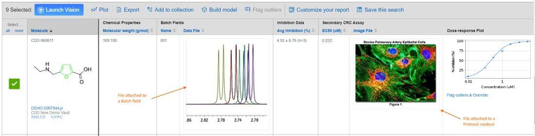 Screenshot showing attached files in Batch fields and Protocol readouts in CDD vault