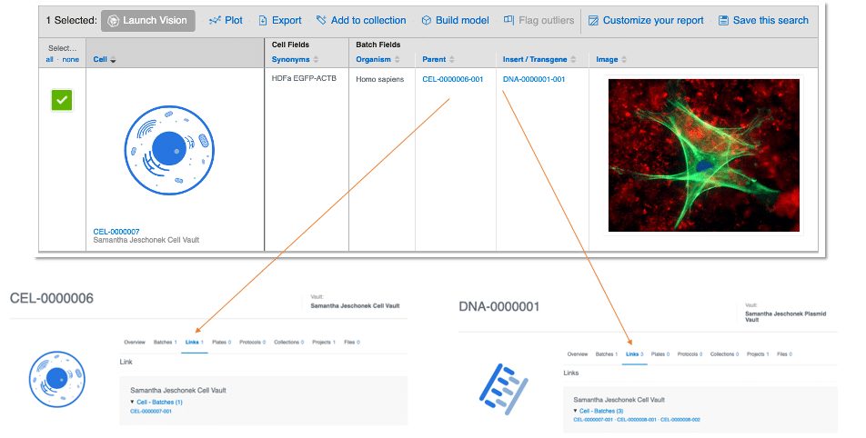 cell vault example