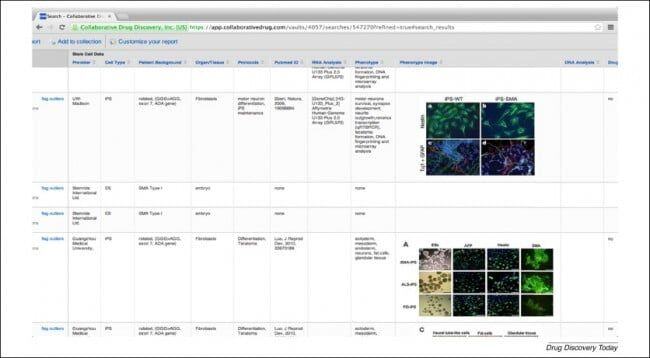 stem_cell_CDD