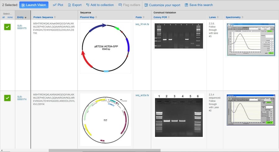 vault screenshot registered plasmid with sequence