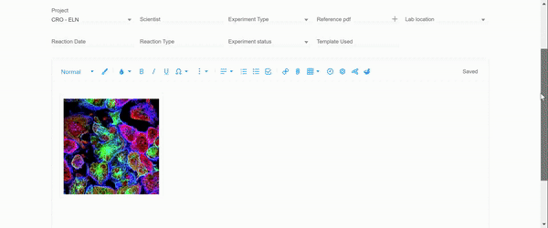 Preview an image file in ELN entry