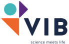 VIB
