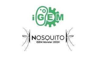 igem-1