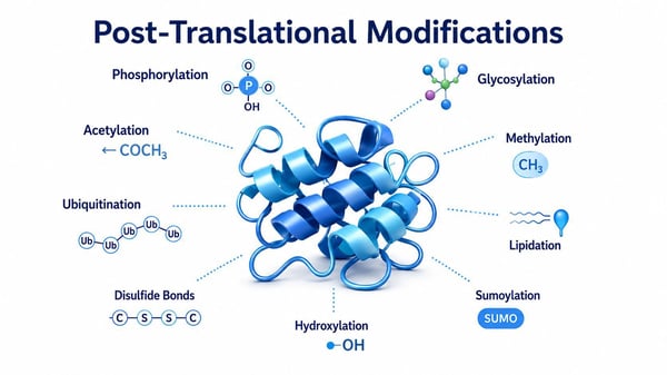 post-translational-modifications-white-v2