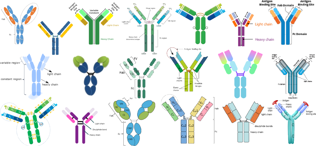 undefined-Nov-14-2025-02-32-37-1295-PM