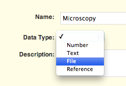File_data_type